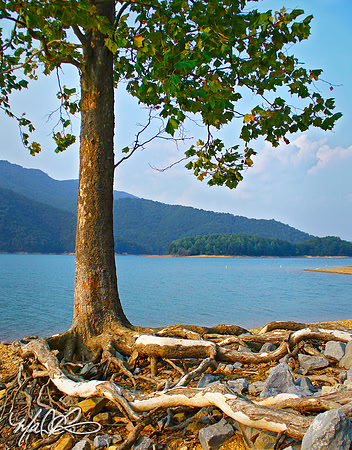 Watauga Lake, 0124ESH