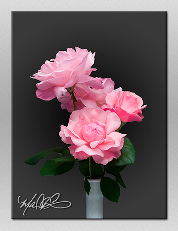 Rose, 4687m