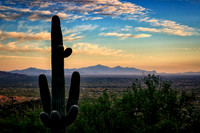 Mt. Lemmon