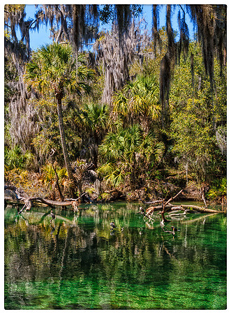 Blue Springs, 3715