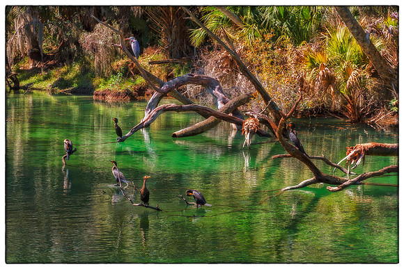 Blue Springs, 3720