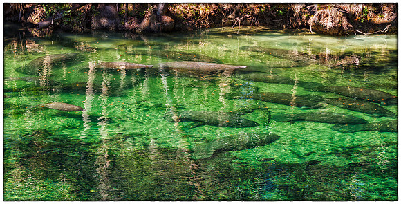 Blue Springs, 3723