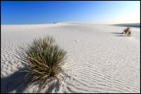 White Sands National Park